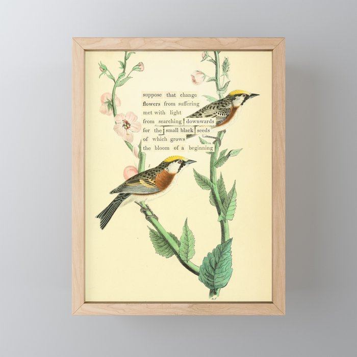 Bird Divinations: Chestnut-Sided Wood Warbler (about: almanacofbirds.org) Mini Art Print Gallery Image 1
