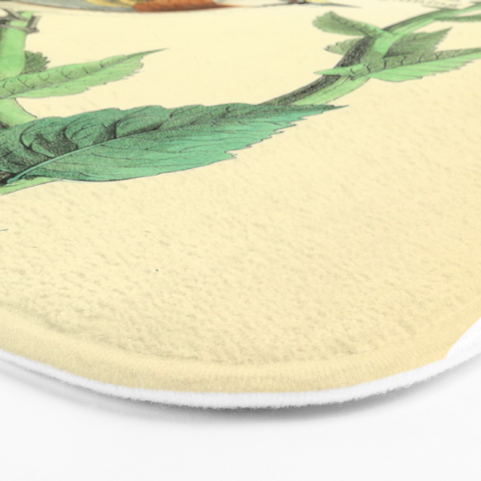 Bird Divinations: Chestnut-Sided Wood Warbler (about: almanacofbirds.org) Bath Mat Gallery Image 3