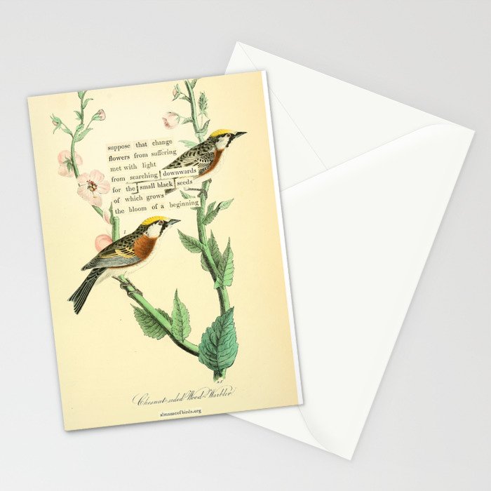 Bird Divinations: Chestnut-Sided Wood Warbler (about: almanacofbirds.org) Stationery Card Gallery Image 2