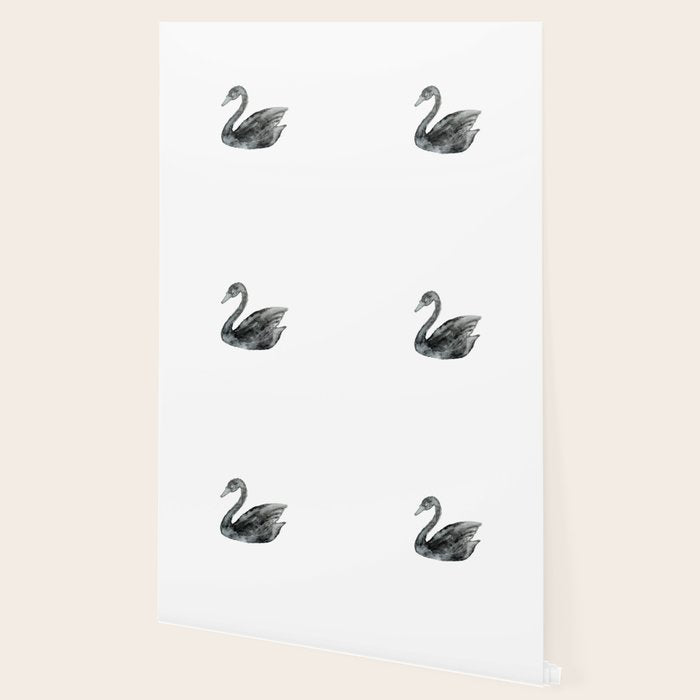 Elegant black white hand painted watercolor swan Wallpaper Gallery Image 2