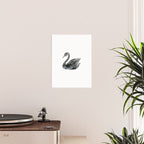 Elegant black white hand painted watercolor swan Poster Gallery Image 2