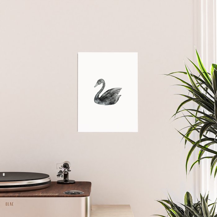 Elegant black white hand painted watercolor swan Poster Gallery Image 2