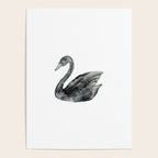 Elegant black white hand painted watercolor swan Poster Gallery Image 4