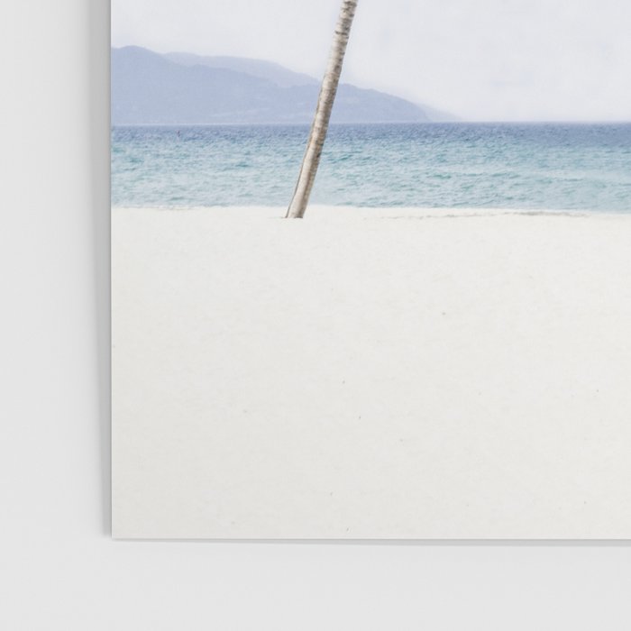 Palm trees 6 Poster Gallery Image 3