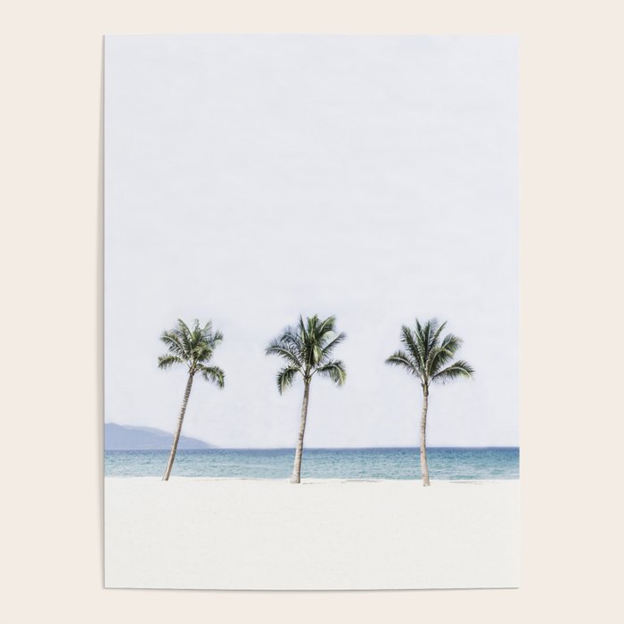 Palm trees 6 Poster Gallery Image 4