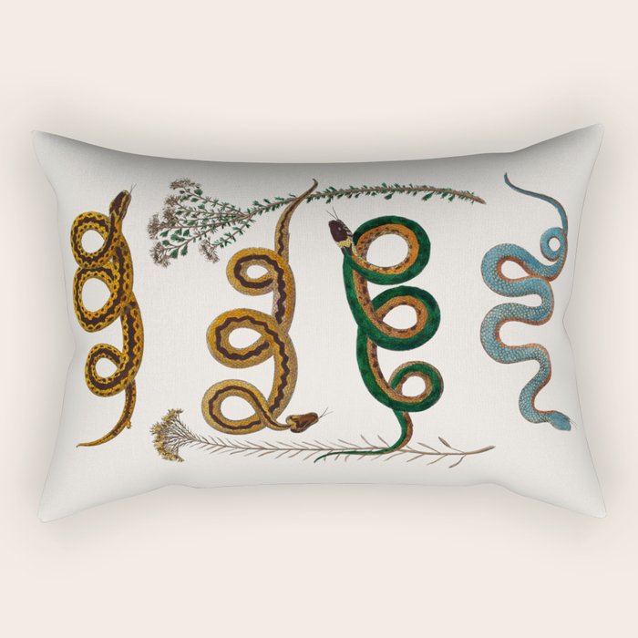 Albertus Seba Baby Breath Snakes  Rectangular Pillow Gallery Image 1