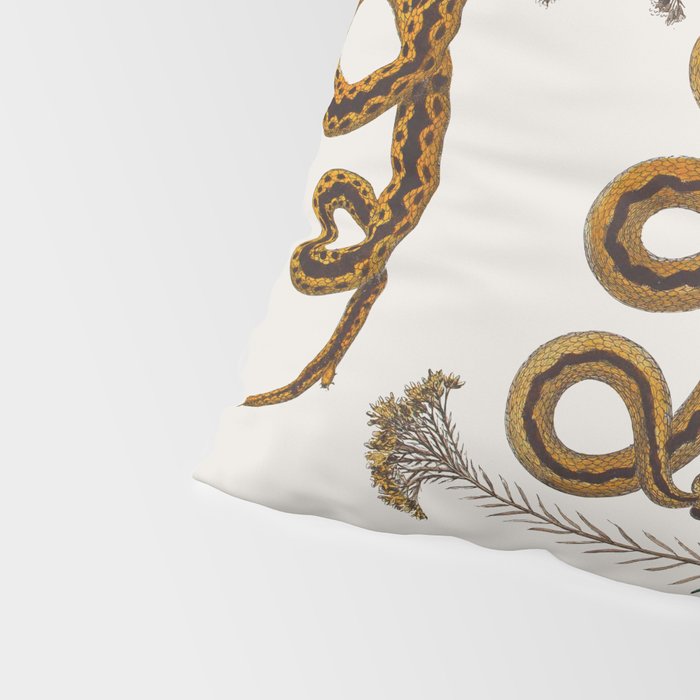 Albertus Seba Baby Breath Snakes  Pillow Sham Gallery Image 4