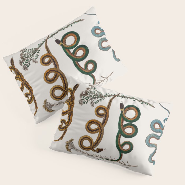 Albertus Seba Baby Breath Snakes  Pillow Sham Gallery Image 1