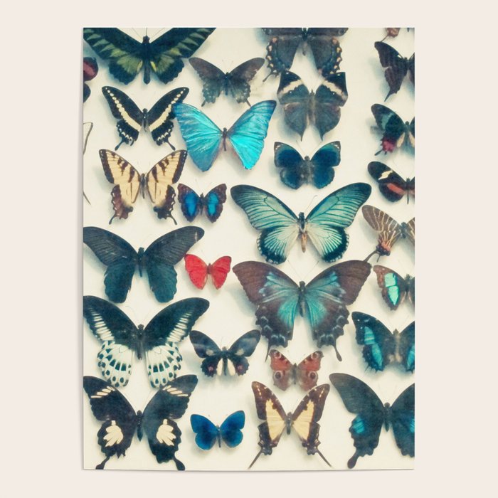 Wings Poster Gallery Image 1