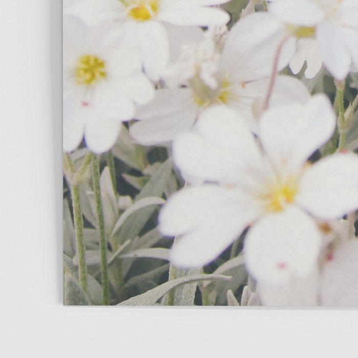 Flower Party Poster Gallery Image 3