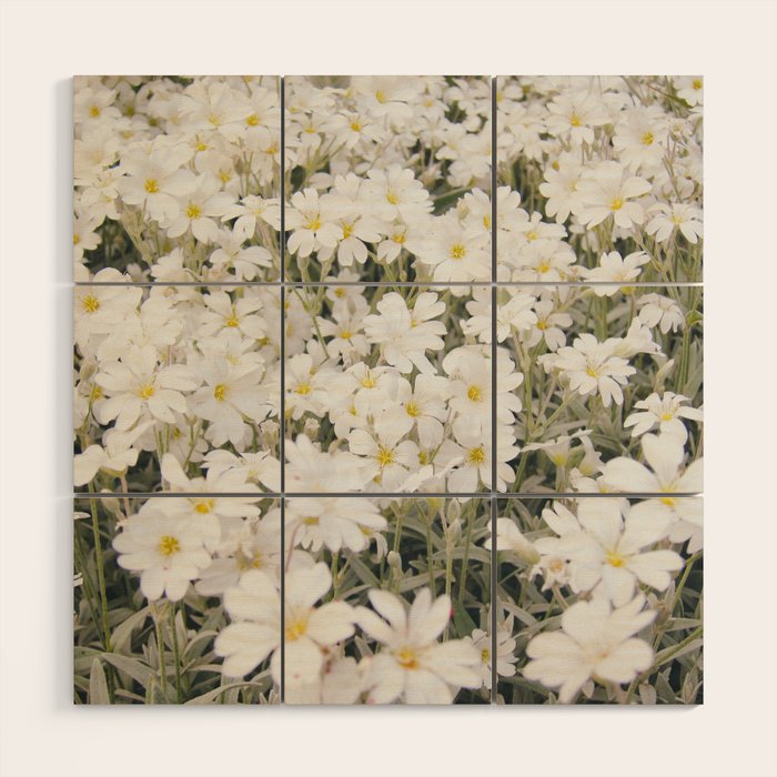 Flower Party Wood Wall Art Gallery Image 1