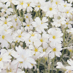 Flower Party Coffee Mug Gallery Image 2
