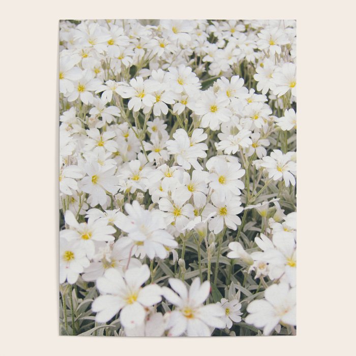 Flower Party Poster Gallery Image 4