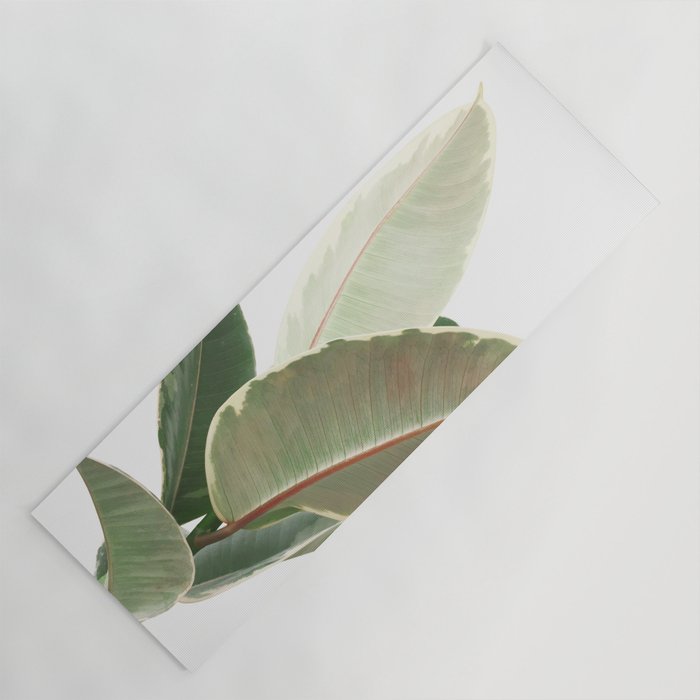 Ficus Teneke Yoga Mat Gallery Image 1