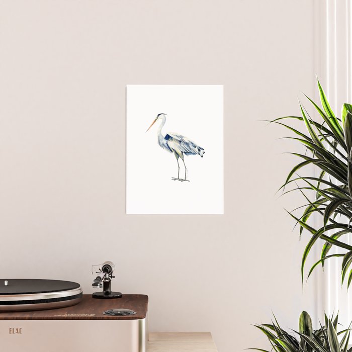 Blue Heron  Poster Gallery Image 2