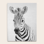 Baby Zebra - Black & White Notebook Gallery Image 4