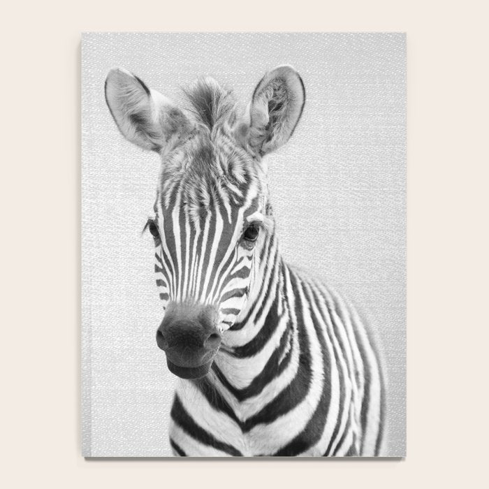 Baby Zebra - Black & White Notebook Gallery Image 4