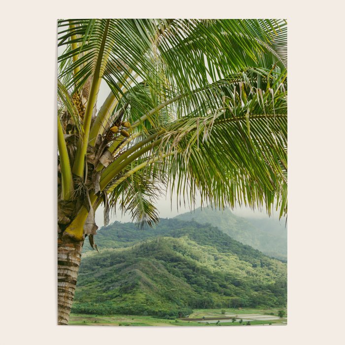 Hanalei Valley - Tropical Hawaii Landscape Photography Poster Gallery Image 4