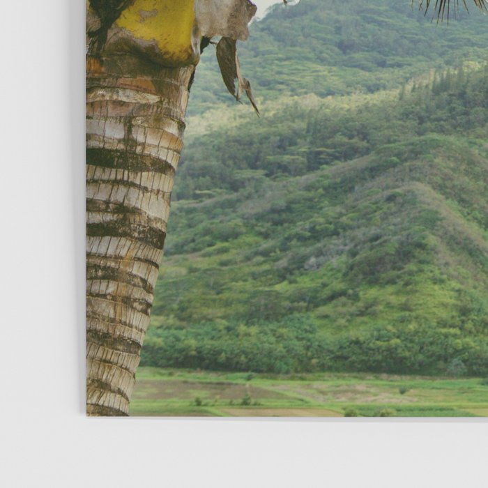 Hanalei Valley - Tropical Hawaii Landscape Photography Poster Gallery Image 3