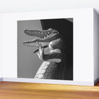 Gatorland Zoo alligator statue Route 1 St. Augustine, Florida everglades black and white photograph Wall Mural Gallery Image 2