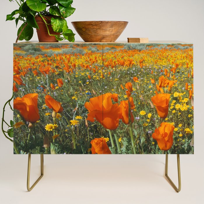 California Wildflower Poppy Superbloom Credenza Gallery Image 1
