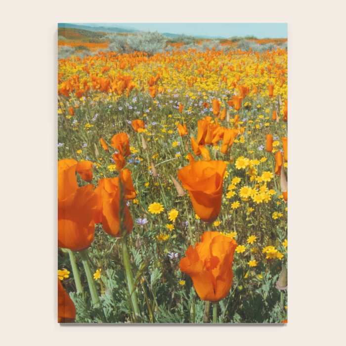 California Wildflower Poppy Superbloom Notebook Gallery Image 4