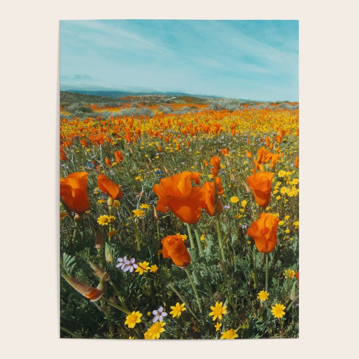 California Wildflower Poppy Superbloom Poster Gallery Image 4