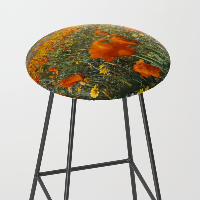 California Wildflower Poppy Superbloom Stool Gallery Image 2