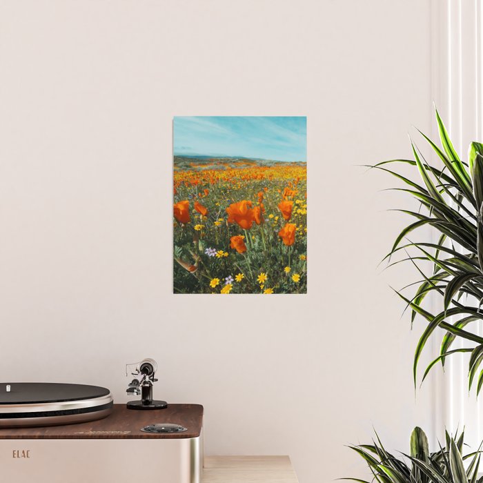 California Wildflower Poppy Superbloom Poster Gallery Image 2
