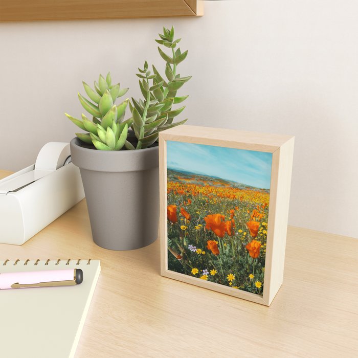 California Wildflower Poppy Superbloom Mini Art Print Gallery Image 2