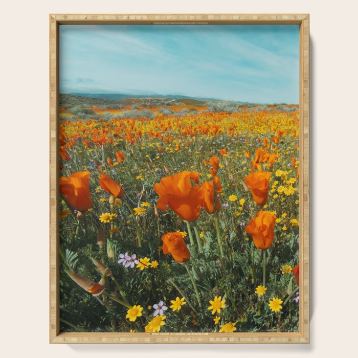 California Wildflower Poppy Superbloom Serving Tray Gallery Image 1