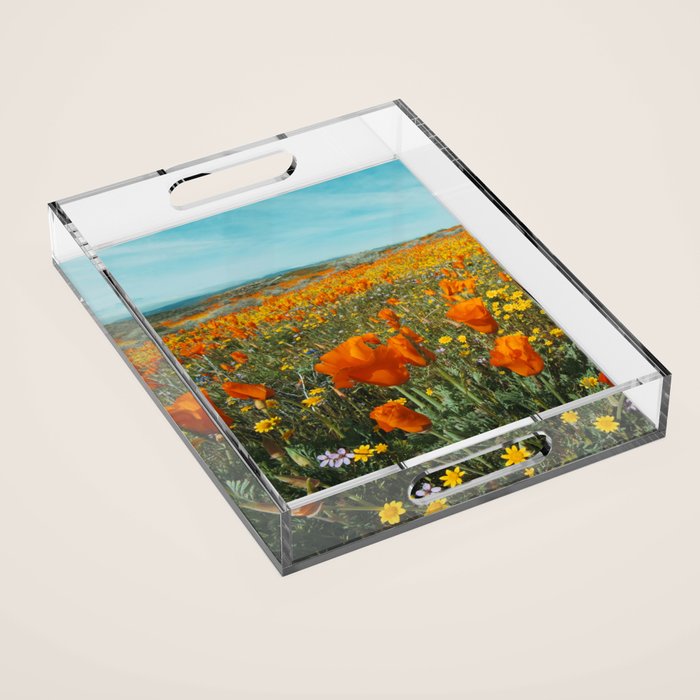 California Wildflower Poppy Superbloom Acrylic Tray Gallery Image 1