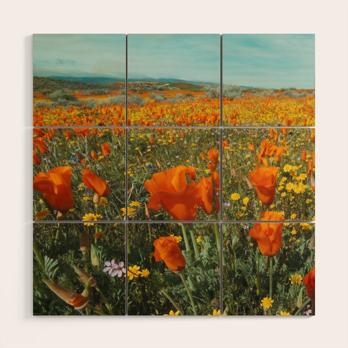 California Wildflower Poppy Superbloom Wood Wall Art Gallery Image 1