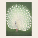 Peacock, Ohara Koson - Japanese Woodcut Poster Gallery Image 4