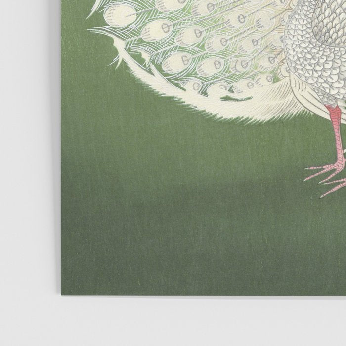 Peacock, Ohara Koson - Japanese Woodcut Poster Gallery Image 3