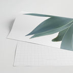 Agave blanco Wrapping Paper Gallery Image 2