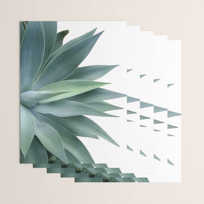 Agave blanco Wrapping Paper Gallery Image 3