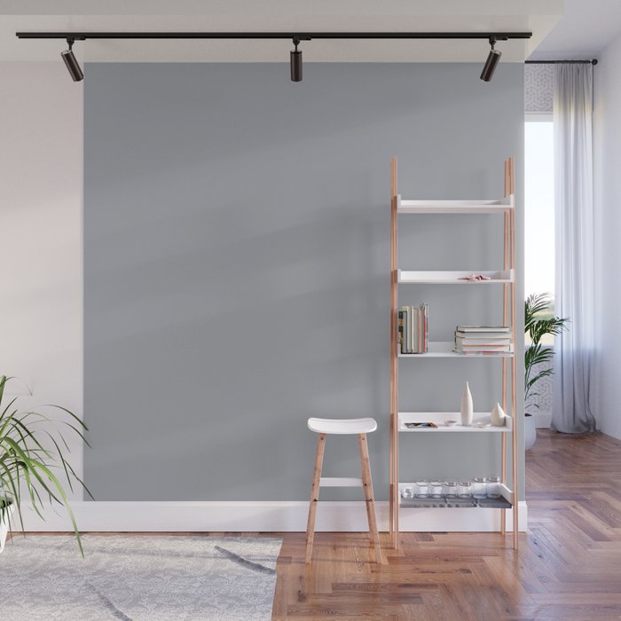 Solid Gray Light Neutral  Wall Mural Gallery Image 1