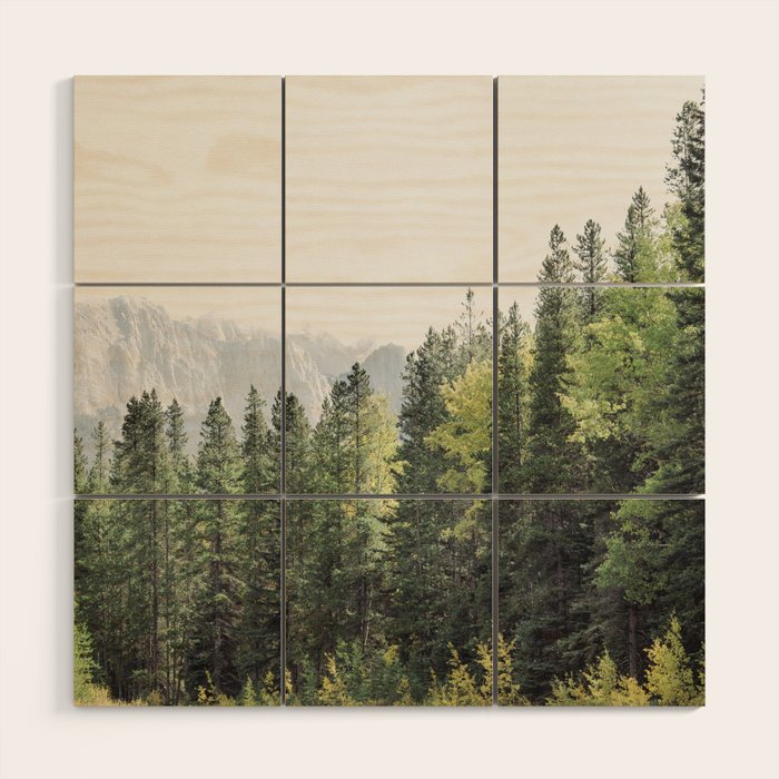 Treeline - Nature and Landscape Photography Wood Wall Art Gallery Image 1