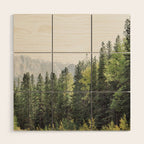 Treeline - Nature and Landscape Photography Wood Wall Art Gallery Image 1