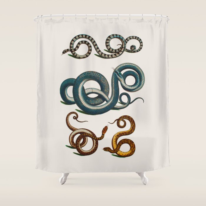 Albertus Seba Coiled Big Blue  Shower Curtain Gallery Image 1
