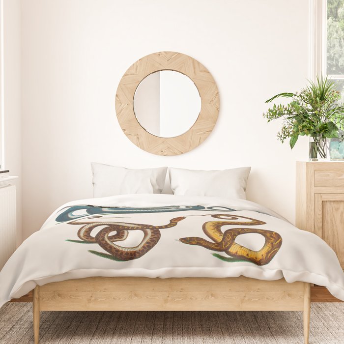 Albertus Seba Coiled Big Blue  Duvet Cover Gallery Image 3