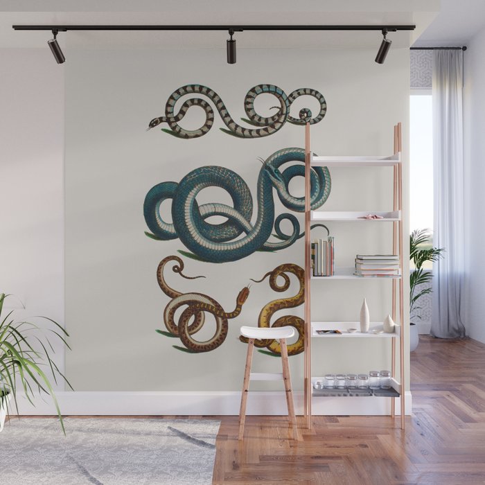 Albertus Seba Coiled Big Blue  Wall Mural Gallery Image 1