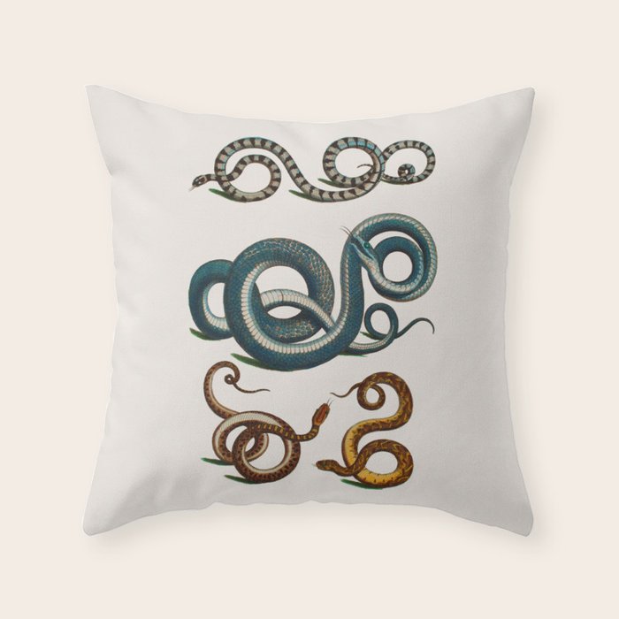 Albertus Seba Coiled Big Blue  Throw Pillow Gallery Image 6