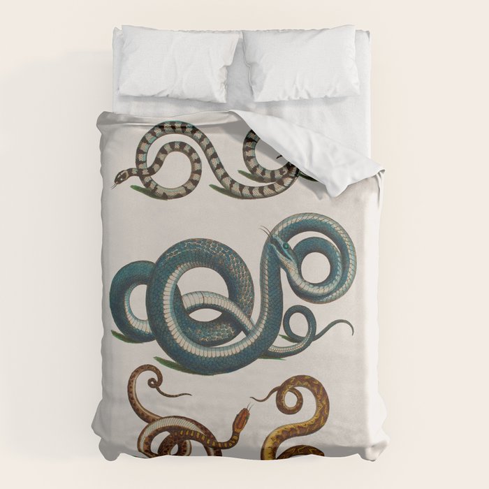 Albertus Seba Coiled Big Blue  Duvet Cover Gallery Image 6