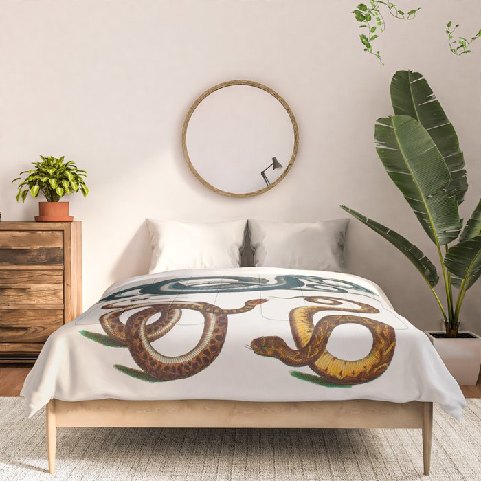 Albertus Seba Coiled Big Blue  Comforter Gallery Image 3