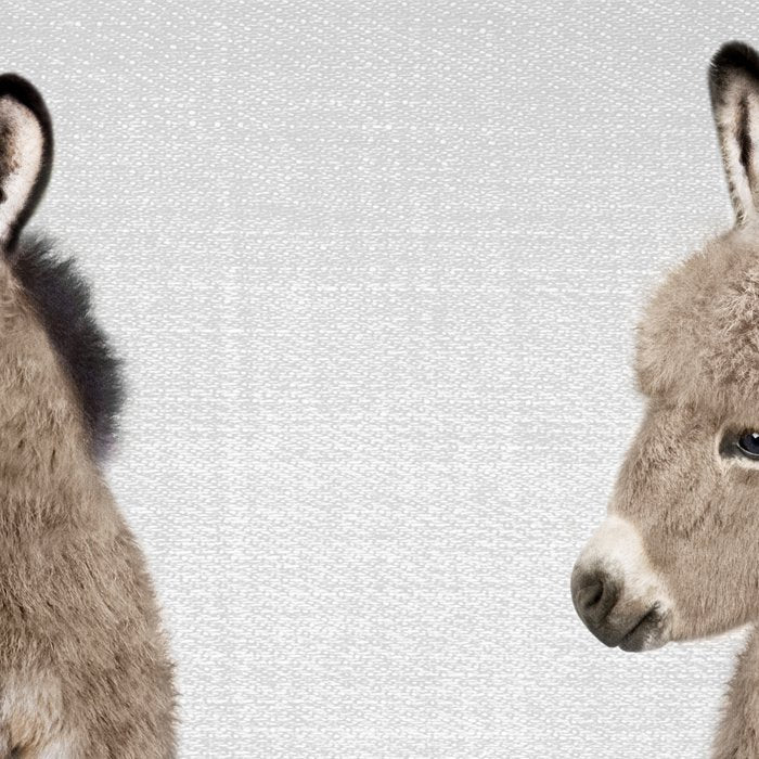 Donkey - Colorful Coffee Mug Gallery Image 2