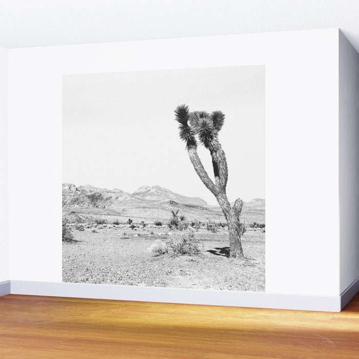 Vintage Desert Scape B&W // Cactus Nature Summer Sun Landscape Black and White Photography Wall Mural Gallery Image 2