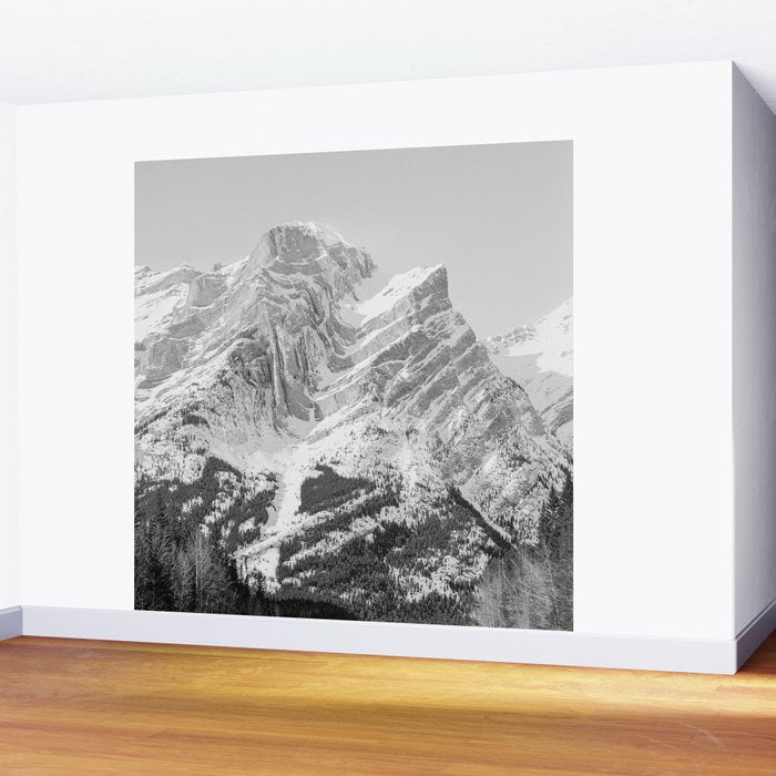 Rocky Mountains Black and White Wall Mural Gallery Image 2