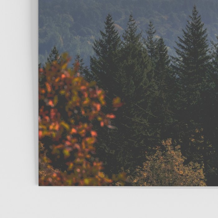 Mount Hood over the Columbia River Gorge Poster Gallery Image 3